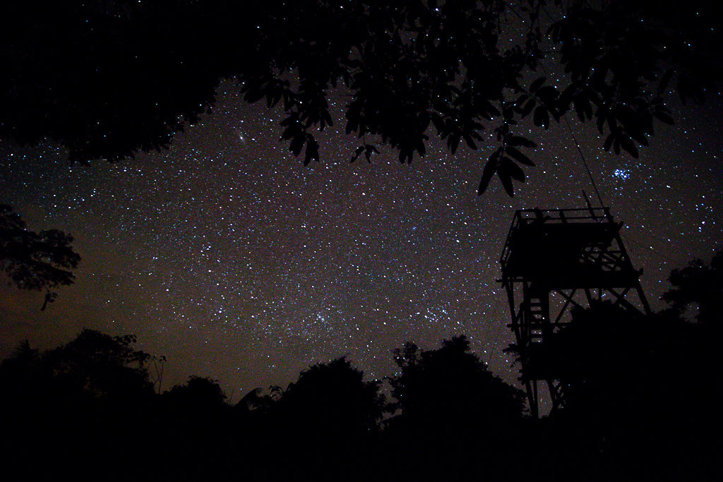 Stars